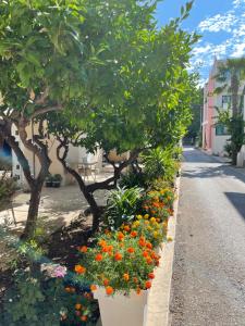 Apartments Lati