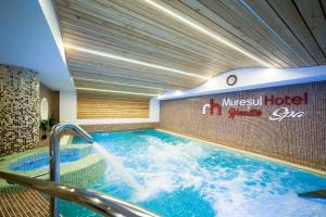 Hotel Muresul Health Spa