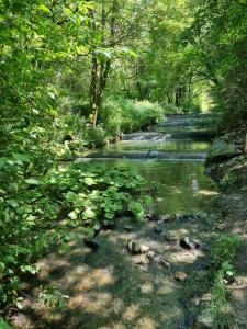Appartement Rakké Kiefernweg Winterberg