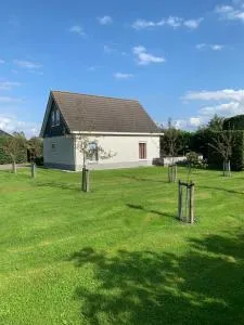 Blue Flower - Serooskerke