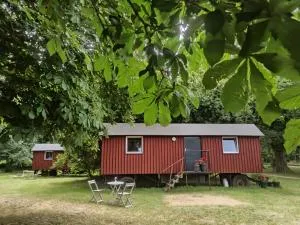 Schäferwagen auf dem Biogut-Saalkow - Rambin