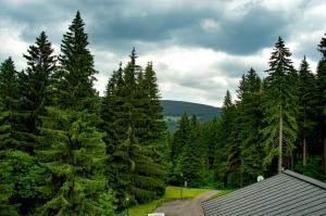 Apartmán ve SkiResortu Poustevník - Pec pod Sněžkou