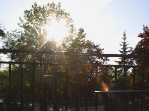 Przestronne apartamenty na Mazurach
