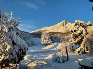 Appartements Maison L'Aiguille - Deux gites et chambres d'hotes au pied de la montagne a la station de Laye : photos des chambres