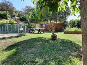 Maisons de vacances Orasi Sartene Gite Casa Fiurita : photos des chambres