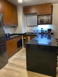 Valle Nevado Vip Apartment Ski Out-In