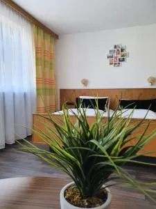 Kurhotel Anders - Pocking