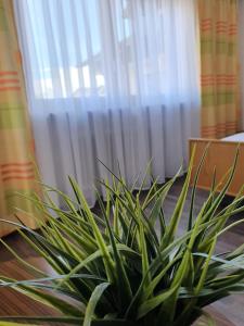 Kurhotel Anders
