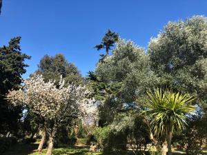 B&B / Chambres d'hotes Le Nid des Corbieres : photos des chambres