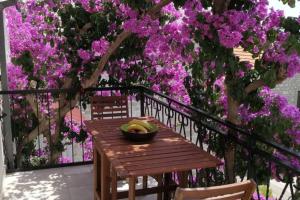 Summer dreams in Bol