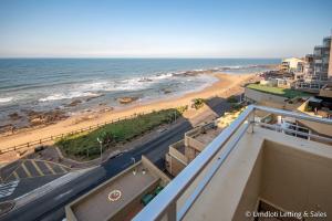 Lazy Lizard 41 - with Inverter