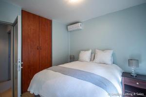 Lazy Lizard 41 - with Inverter