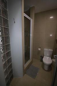 Lazy Lizard 41 - with Inverter