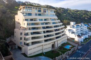 Lazy Lizard 41 - with Inverter