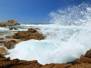 Holiday Home Sassicaia by Interhome img49