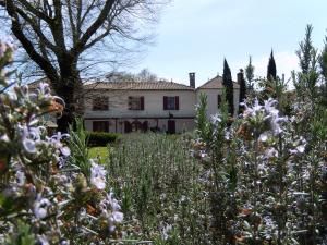 B&B / Chambres d'hotes La Palombiere : photos des chambres