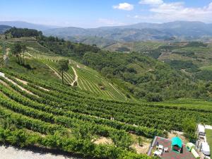 Quinta da Corujeira