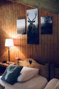 Chalets Chalet Le Bouton D'or : photos des chambres