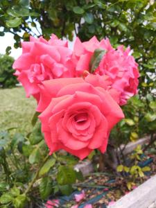 Séjour chaleureux chambre chez l habitant