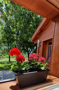 Family Wellness Jacuzzi Sauna Wood Fired Hot Tub 8 Min from Heviz