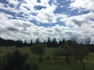 Auberge du Peu-Péquignot