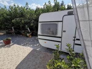 Green Garden Caravan