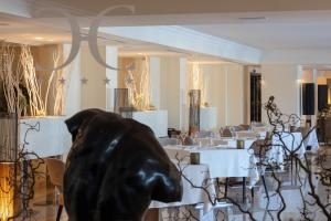 Hotels Hotel Don Cesar : photos des chambres