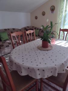 Apartmani Zmiric Primosten