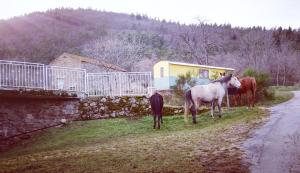 Tentes de luxe La Ferme De Chenevier, La Roulotte Fleurie 2/4pers : photos des chambres