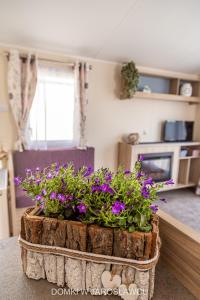 Domki Letniskowe "W Stronę Morza"