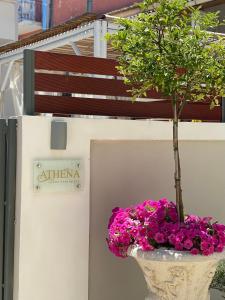 Athena Luxury Apartments