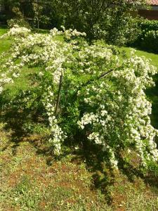 The Colours Of Chianti