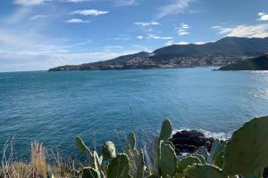 Appartements Attique a Banyuls - vue mer et montagne : photos des chambres