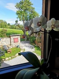 B&B / Chambres d'hotes Rouet Nature : photos des chambres