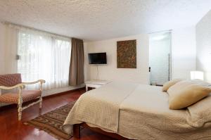 Suite 2B, Vista, Garden House, Welcome to San Angel