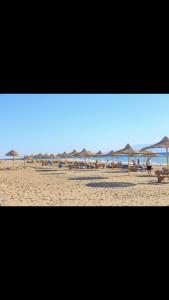 Cozy sunny ground chalet with terrace-Ras Sudr