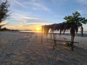 Casa del Arte, a luxury beachfront villa with private pool