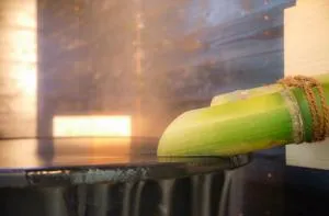 かわもと別邸３４６６ - Tano