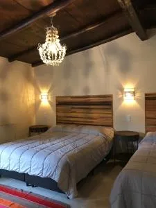 Departamento en la naturaleza - Anta