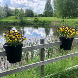 Holiday House Koceri