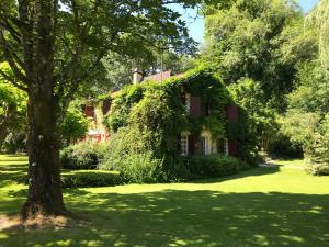 B&B / Chambres d'hotes Bed & Breakfast Le Moulin Neuf : photos des chambres