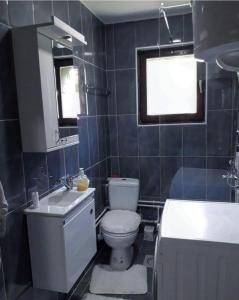 Studio Apartman Atila Sokobanja
