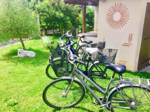 B&B / Chambres d'hotes Maison Aubergerac : photos des chambres