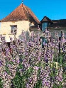 B&B / Chambres d'hotes Maison Aubergerac : photos des chambres
