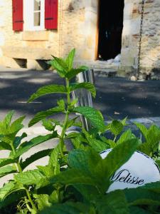 B&B / Chambres d'hotes Maison Aubergerac : photos des chambres