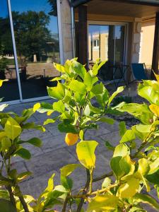 B&B / Chambres d'hotes Maison Aubergerac : photos des chambres