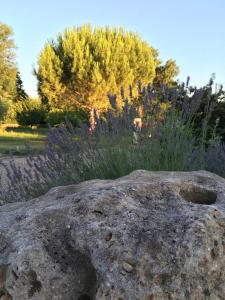 B&B / Chambres d'hotes Maison Aubergerac : photos des chambres