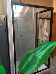 B&B / Chambres d'hotes Maison Aubergerac : photos des chambres