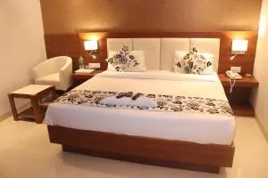Hotel Royal Sky Luxury Near Delhi Airport - 瑟马尔卡