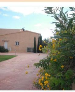 Villas Villa Stagnale : photos des chambres